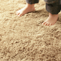 wool carpet care